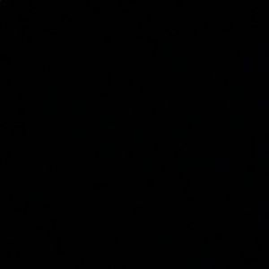 Meet your Posher, Dee